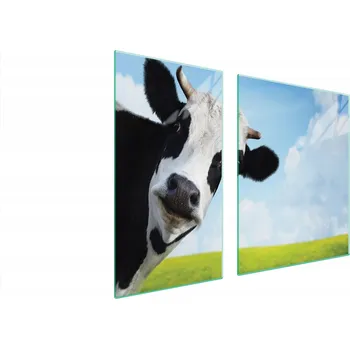 Obraz SKLENĚNÁ OCHRANNÁ DESKA NA SPORÁK 90x52 KRÁVA TVRZENÉ SKLO