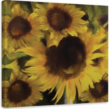 Obraz OBRAZ KYTICE ŽLUTÝCH SLUNEČNIC 50x50