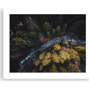 Obraz Obraz plakát na zeď bez rámu 50x40 les foto plakáty do obýváku ložnice