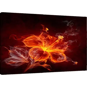 Obraz OBRAZ NA PLÁTNĚ Oheň Květiny Rostlina 90x60