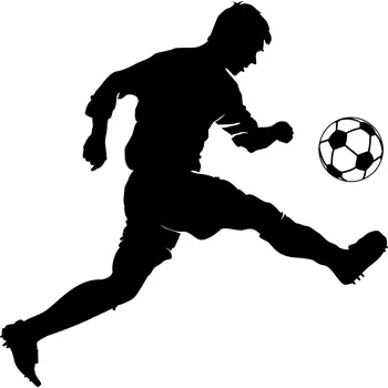 Obraz Samolepka na stěnu Drukant 70 cm