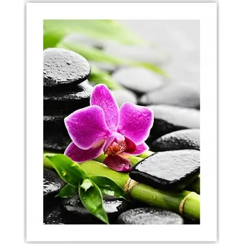 Obraz Obraz plakát na zeď bez rámu 40x50 květiny plakáty do obýváku ložnice