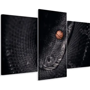 Obraz Obraz Triptych Hlava PYTONA Zblízka Had 3D 60x40