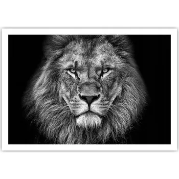 Obraz Plakát na zeď bez rámu 100x70 zvířata obraz plakáty do obývacího pokoje ložnice