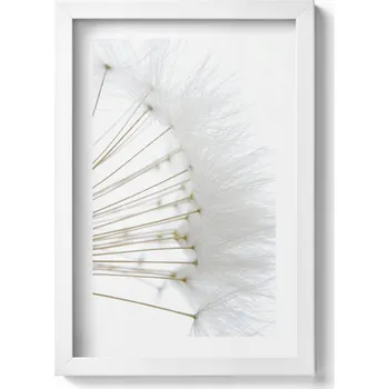 Obraz Obraz s bílým rámem na zeď do obýváku Bílé pampelišky 20x30 cm