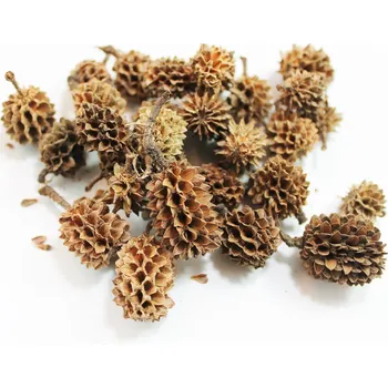 Casuarina šišky 50g