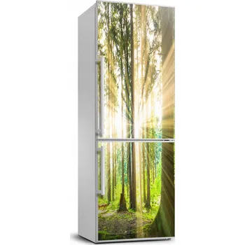 Fototapeta Fototapeta na ledničku Slunce v lese