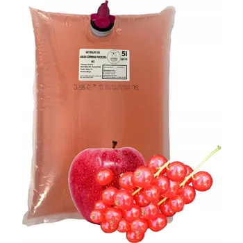 Šťáva jablko-ČERVENÝ RYBÍZ 100% 5l (lisovaná, přírodní, NFC) jablečná