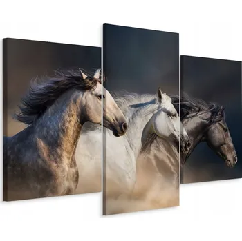 Obraz Obraz Tryptych KONĚ Zvířata Příroda Dekorace 150x100