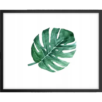 Obraz Foto obraz, plakát na zeď v černém rámu 50x40 monstera do obýváku