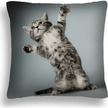 Polštář POLŠTÁŘ KOČKY 04 DIVOKÁ KOČKA DOMÁCÍ POVLAK NA POLŠTÁŘEK