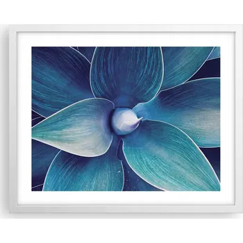 Obraz Obraz plakát na zeď v bílém rámu 50x40 agáve foto plakáty do obýváku