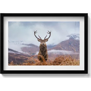 Obraz Obraz s černým rámem a grafikou na zeď Jelen na horské louce 60x40 cm