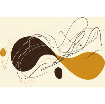 Plakát Plakát Symfonie Linií a Tvarů bez rámu 100 x 75 cm