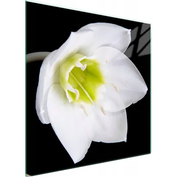 Kuchyňské prkénko Krájecí deska TMK ArtDeko sklo 1 ks