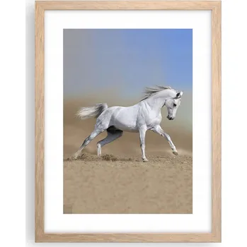 Obraz Obraz plakát v rámu světlý dub do obýváku 30x40 kůň foto plakáty na zeď