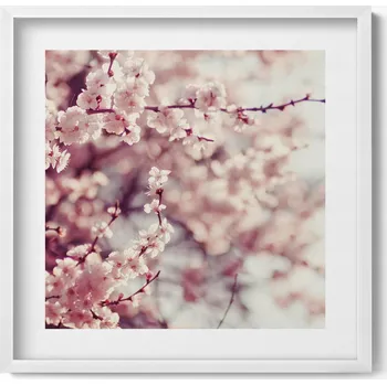 Obraz Závěsný obraz rámeček bílé barvy Kvetoucí jarní květy 50x50 cm