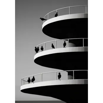 Plakát Plakát Havraní odstíny bez rámu 21 x 29,7 cm