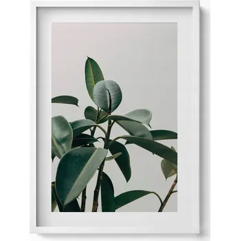 Obraz Moderní nástěnná dekorace Zelená rostlina, minimalistický styl, 50x70 cm