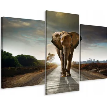 Obraz Obraz Tryptych Zvíře SLON Safari Dekor 3D 120x80