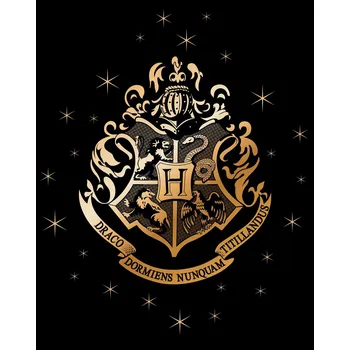 Dětská deka Dečka fleecová deka měkká deka pled HARRY POTTER černá 120x150