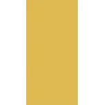 Dlažba Rako Color Two 10×20 cm tmavě žlutá matná GAAD8142