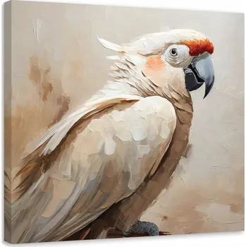 Obraz OBRAZ Papoušek ptáci béžový malovaný NA PLÁTNĚ 60x60