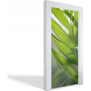 Fototapeta Samolepicí samolepící na dveře a nábytek Zelené listy 95 x 205 cm