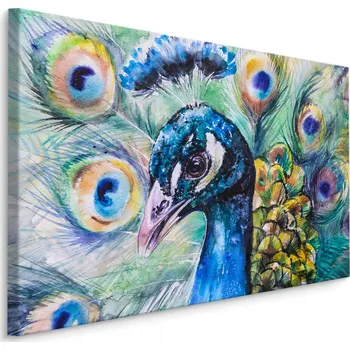 Obraz Obraz páv pták peří 3D akvarel do obýváku 40x30