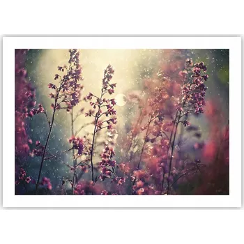 Obraz Plakát bez rámu do obývacího pokoje ložnice 70x50 příroda moderní módní obraz