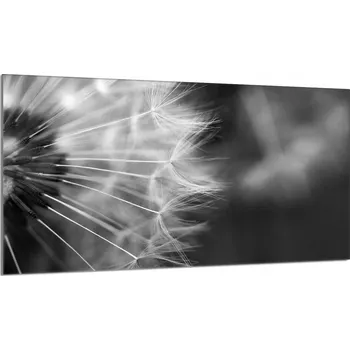 Obraz Krájecí deska TMK ArtDeko sklo 1 ks