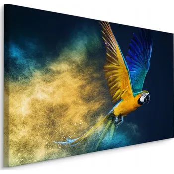 Obraz Obraz na plátně Ptáci barevný PAPOUŠEK 3D 30x20