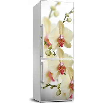 Fototapeta Samolepící nálepka na zeď lednice Orchidej