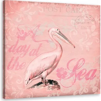 Obraz Obraz Pelikán na krátkých nohách - A. Haase 50x50