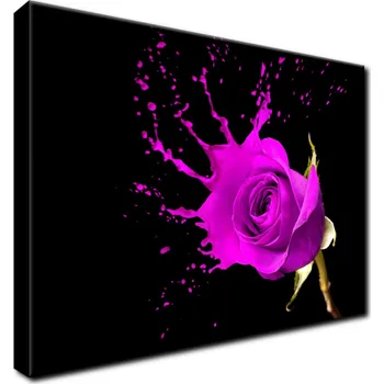 Obraz FOTO OBRAZ do pokoje obýváku 70x50 Šplouchání