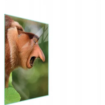 Kuchyňské prkénko Krájecí deska TMK ArtDeko sklo 1 ks