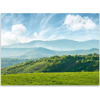 Obraz Skleněná Ochranná Deska a Krájecí Prkénko | Indukce, Sporák ds-0566