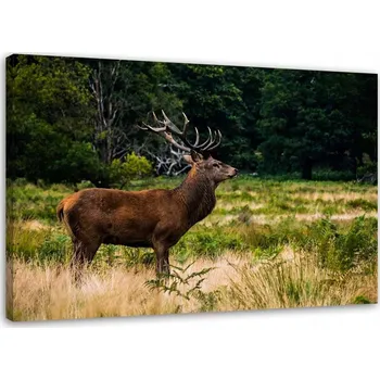 Obraz OBRAZ NA PLÁTNĚ Jelen Říjiště Les Příroda 120x80