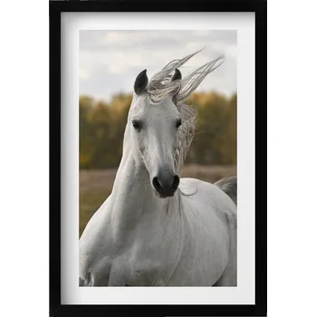 Obraz Nástěnný dekorativní foto obraz v černém rámu Bílý kůň v cvalu 40x60 cm