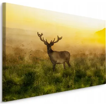 Obraz Obraz do obýváku akvarel jelen MLHA příroda 70x50