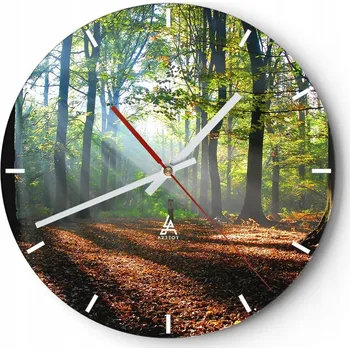 Hodiny Nástěnné hodiny do kuchyně 30x30 Les Skleněné hodiny do obýváku Loft Tiché