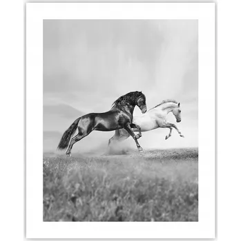 Obraz Obraz plakát na zeď bez rámu 40x50 zvířata plakáty do obýváku ložnice