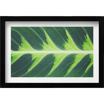 Obraz Dekorativní obraz v černém rámu do obýváku Faktura a žilky listu 30x20 cm