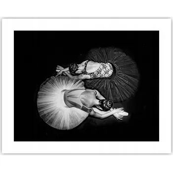 Obraz Obraz plakát na zeď bez rámu 50x40 baletka foto obývací pokoj ložnice