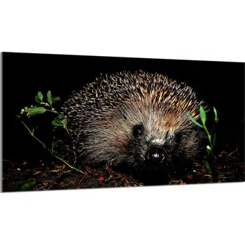 Obraz Krájecí deska TMK ArtDeko sklo 1 ks