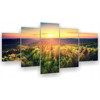 Obraz Triptych 5dílný na zeď Bieszczady Hory Les