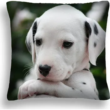 Polštář POLŠTÁŘ PRO PSA 15 DALMATIN ŠTĚNĚ JASIEK PL