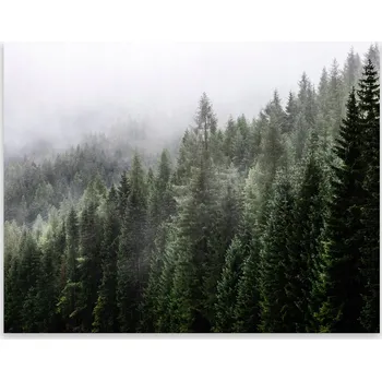 Kuchyňské prkénko Skleněná Ochranná Deska a Krájecí Prkénko | Indukce, Sporák ds-0139