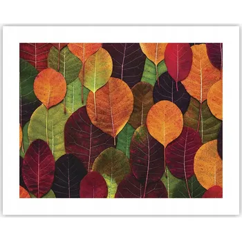 Obraz Obraz plakát na zeď bez rámu 50x40 grafika foto plakáty do obýváku ložnice