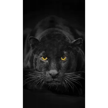 Kuchyňské prkénko Skleněná Ochranná Deska a Krájecí Prkénko | Indukce, Sporák ds-0110